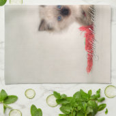 Ragdollの子ネコのふきん キッチンタオル (折り畳み)