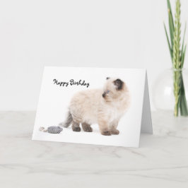 Ragdollの子ネコのバースデー・カード カード