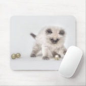 Ragdollの子ネコのmousepad マウスパッド (マウス)