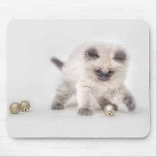 Ragdollの子ネコのmousepad マウスパッド