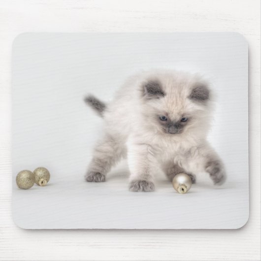 Ragdollの子ネコのmousepad マウスパッド (正面)
