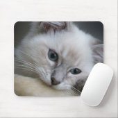 ragdollの子ネコのmousepad マウスパッド (マウス)