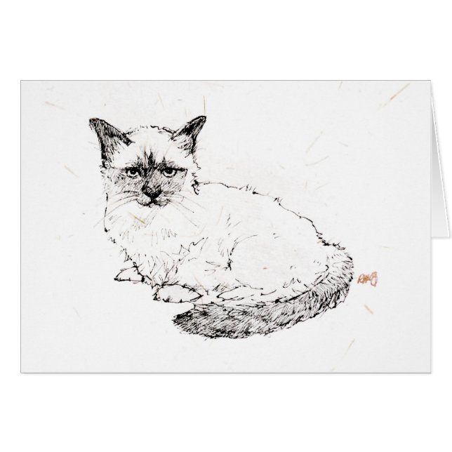 Ragdollの子ネコ (正面横)