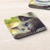 Ragdollの子ネコ コースター (左側)