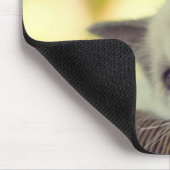 Ragdollの子ネコ マウスパッド (コーナー)