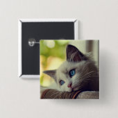 Ragdollの子ネコ 缶バッジ (正面&裏面)