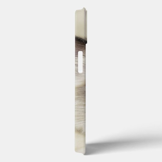 Ragdollの子ネコ Case-Mate iPhoneケース (裏面 / 右)