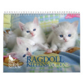 Ragdollの子ネコVol。 1つのカレンダー カレンダー (カバー)