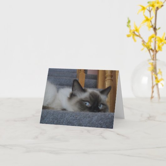 Ragdollの子猫 カード (黄色い花)