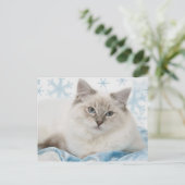 ragdollの郵便はがき ポストカード (スタンド正面)