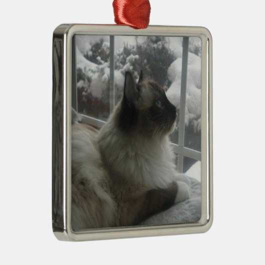 Ragdollヒマラヤ猫のクリスマスの雪の子猫Ornamen メタルオーナメント (右)