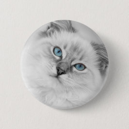 ragdollボタン 缶バッジ