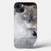 Ragdollメスの猫 Case-Mate iPhoneケース (裏面)