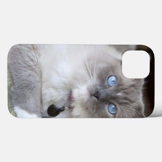 Ragdollメスの猫 Case-Mate iPhoneケース (裏面 (横))