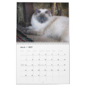 Ragdoll猫のカレンダー カレンダー (3月 2027)