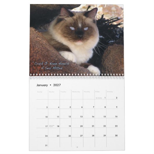Ragdoll猫のカレンダー カレンダー (1月 2027)