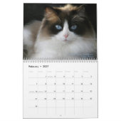 Ragdoll猫のカレンダー カレンダー (2月 2027)