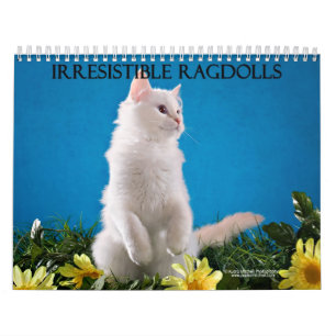 Ragdoll猫のカレンダー カレンダー
