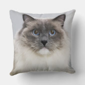 Ragdoll猫のポートレート クッション (裏面)