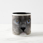 Ragdoll猫のポートレート ツートーンマグカップ (中央)