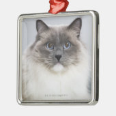 Ragdoll猫のポートレート メタルオーナメント (左)