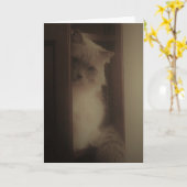 Ragdoll猫 カード (黄色い花)