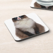 Ragdoll猫 コースター (左側)