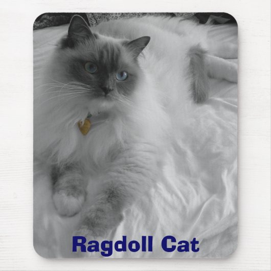 Ragdoll猫 マウスパッド (正面)