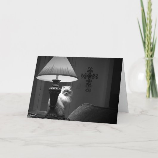 Ragdoll猫/Noir カード (正面)