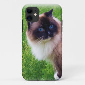 Ragdoll美しい猫 Case-Mate iPhoneケース (裏面)