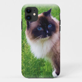 Ragdoll美しい猫 iPhone 11 ケース