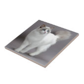 Ragdoll青い目の猫Purfection タイル (側面)