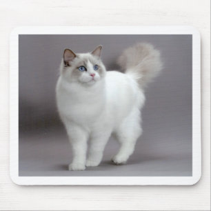 Ragdoll青い目の猫Purfection マウスパッド