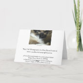 Ragdoll Birman猫の挨拶状かメッセージカード カード (裏面)