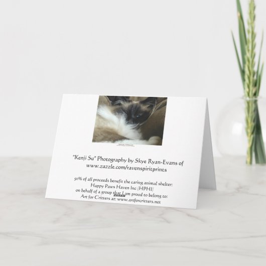 Ragdoll Birman猫の挨拶状かメッセージカード カード (裏面)