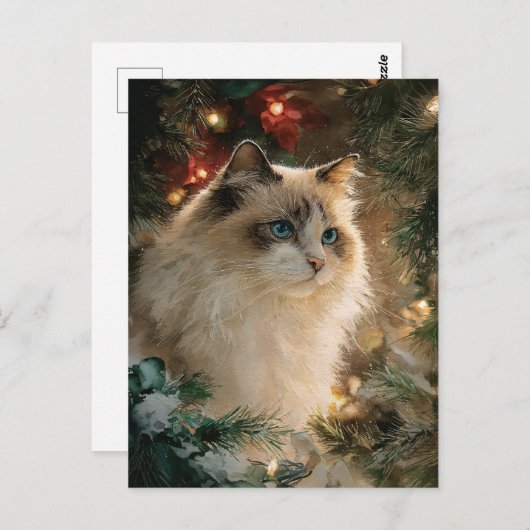 Ragdoll Cat Christmas ポストカード (正面/裏面)