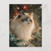 Ragdoll Cat Christmas ポストカード (正面)