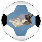 Ragdoll cat, Dusty Blue サッカーボール (回転)