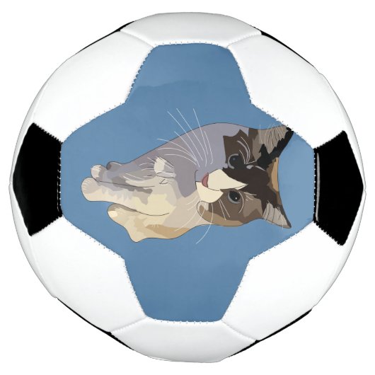 Ragdoll cat, Dusty Blue サッカーボール (回転)