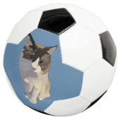 Ragdoll cat, Dusty Blue サッカーボール (3/4)