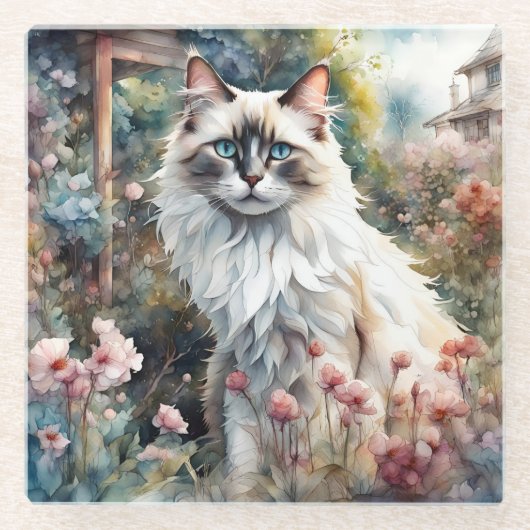 Ragdoll Cat in English Garden ガラスコースター (正面)