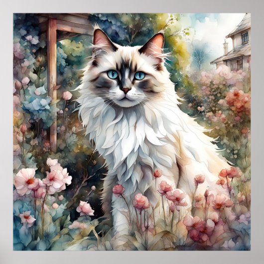 Ragdoll Cat in English Garden ポスター (正面)