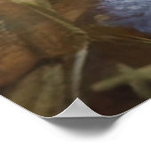 Ragdoll Cat in Garden Fluffy Pet Illustration ポスター (角)