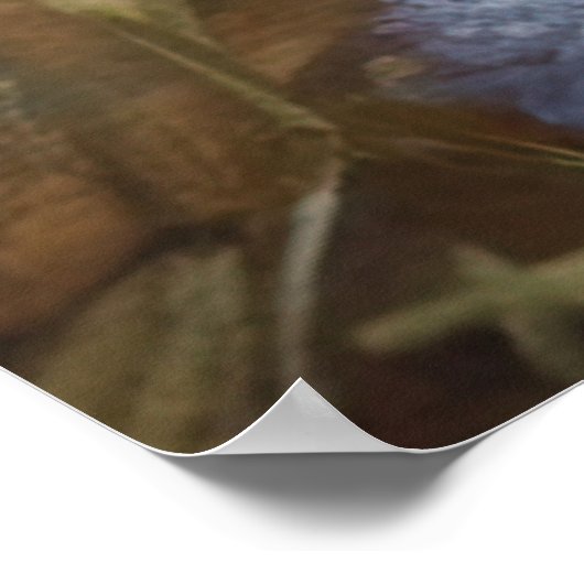 Ragdoll Cat in Garden Fluffy Pet Illustration ポスター (角)