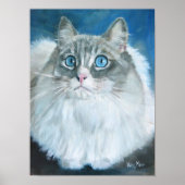 Ragdoll cat oil painting ポスター (正面)
