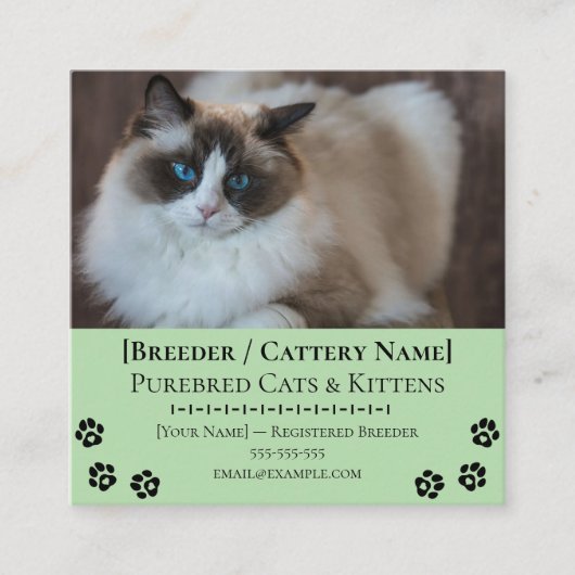 Ragdoll Cattery Customizable Cat Breeder  スクエア名刺 (正面)