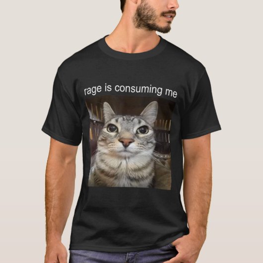 Rage Is Consuming Me Cat Meme Shirt Tシャツ (正面)