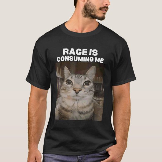 Rage is Consuming Me Meme 猫 ミーム インターネット・ミーム Tシャツ (正面)