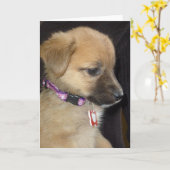 Rahja カード (黄色い花)