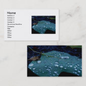 Rain Drops名刺 名刺 (正面/裏面)